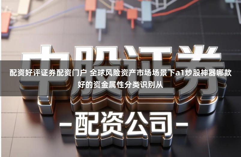 配资好评证券配资门户 全球风险资产市场场景下a1炒股神器哪款好的资金属性分类识别从